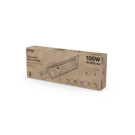 Консольные светильники — Консольный светильник Gauss 629534200 купить в 