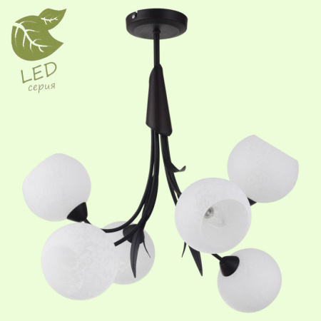 Люстры на штанге — Люстра на штанге Lussole GRLSF-6293-06 купить в 