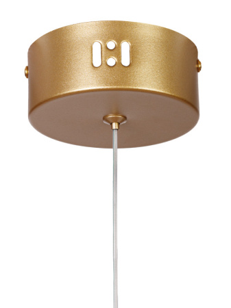 Подвесные светильники — Подвесной светильник MyFar MR1061-1PL купить в  Подвесные светильники — Подвесной светильник MyFar MR1061-1PL купить в