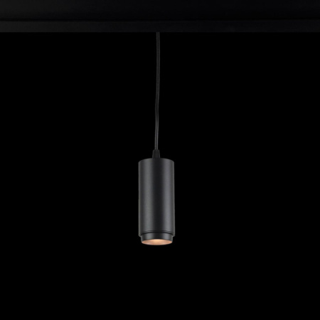 Трековые светильники — Светильник на шине LOFT IT T046-06P купить в 