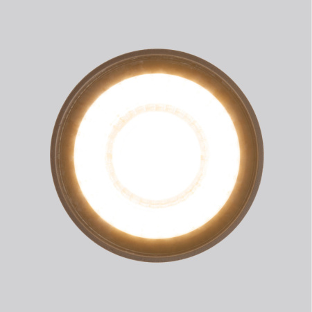 Накладные уличные светильники — Накладной уличный светильник Elektrostandard Light LED 2105 (35132/H) черный купить в 