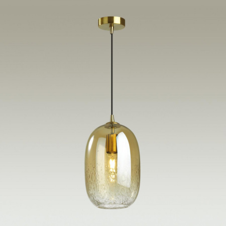 Подвесные светильники — Подвесной светильник Odeon Light 4819/1 купить в 