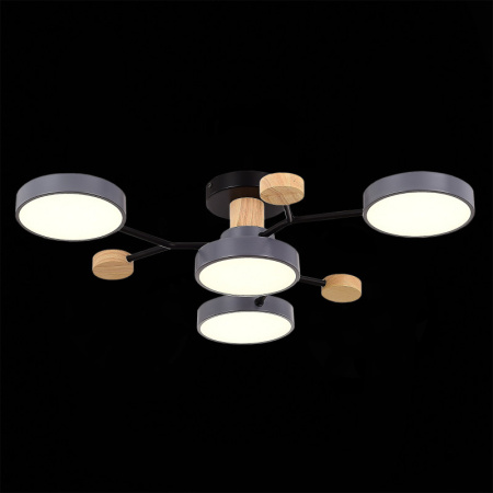 Люстры на штанге — Люстра на штанге Evoluce SLE6006-702-04 купить в 