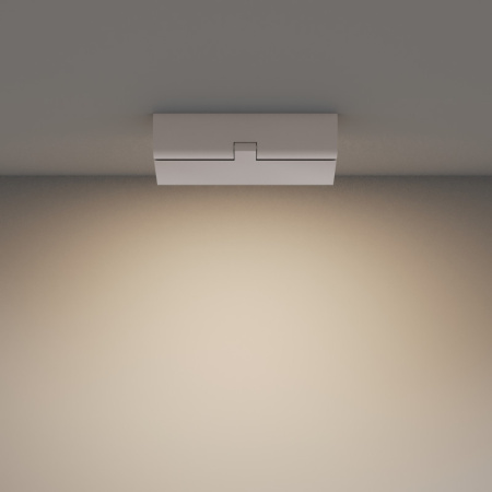 Накладные светильники — Накладной светильник Maytoni Technical C133CL-12W3K-W купить в 