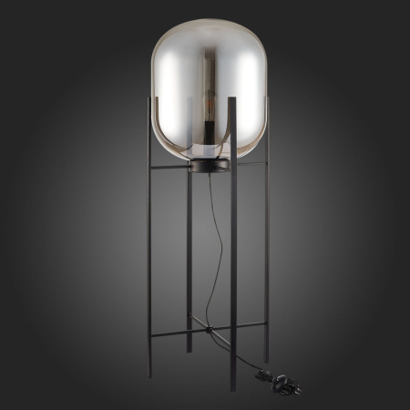 Торшеры и напольные светильники — Торшер ST-Luce SL1050.725.01 купить в 