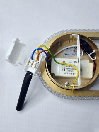 Настенные бра — Настенный светодиодный светильник Elvan NLS-5398-10W-WW-Gl купить в 