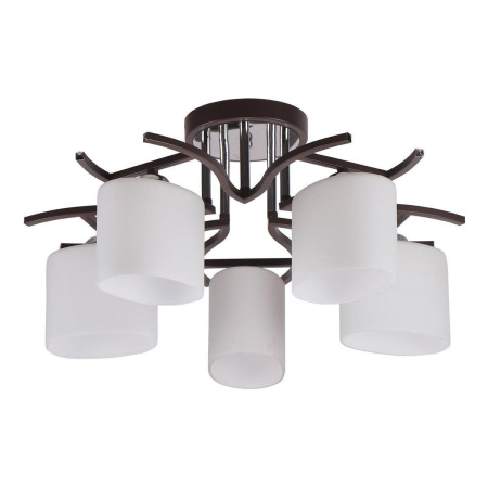 Потолочные люстры — Потолочная люстра IMEX MD.2441-5-S BR+CH купить в 