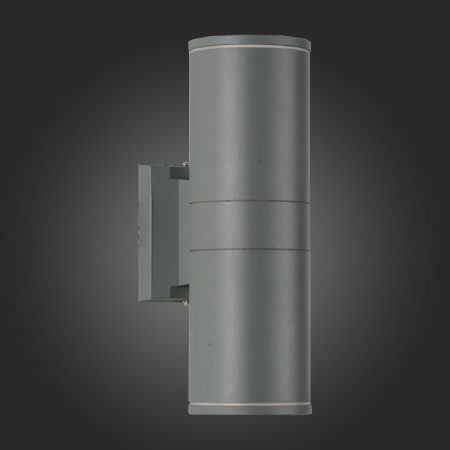 Уличные настенные светильники — Светильник настенный ST-Luce SL561.701.02 купить в 