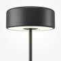 Настольные лампы — Настольная лампа Maytoni MOD229TL-L3B3K2 купить в 