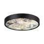 Настенные бра — Бра Odeon Light 5064/24L купить в  Настенные бра — Бра Odeon Light 5064/24L купить в