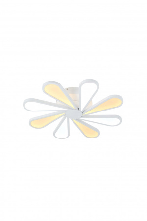 Накладные светильники — Накладной светильник Lucia Tucci Miracoli 201.8 LED купить в 