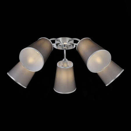 Люстры накладные — Накладная люстра Evoluce SLE103002-05 купить в  Люстры накладные — Накладная люстра Evoluce SLE103002-05 купить в