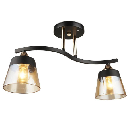 Потолочные светильники — Потолочный светильник IMEX MD.3772-2-S BK+FGD купить в  Потолочные светильники — Потолочный светильник IMEX MD.3772-2-S BK+FGD купить в