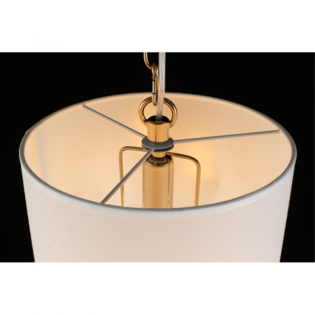 Подвесные светильники — Подвесной светильник APLOYT APL.724.06.01 купить в 