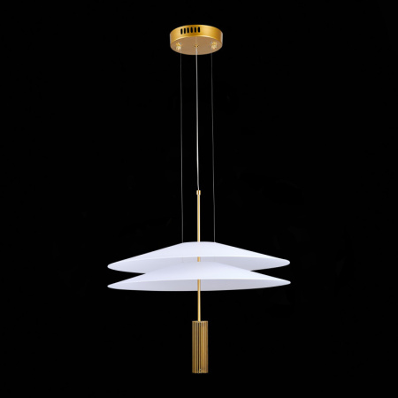 Подвесные светильники — Подвесной светильник ST-Luce SL6101.203.01 купить в 