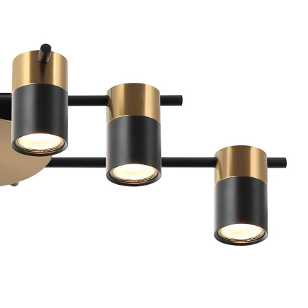 Потолочные люстры — Потолочная люстра Lumien Hall Trey LH4138/6CB-BR-BK купить в 