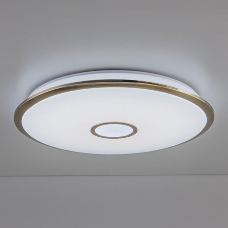 Накладные светильники — Накладной светильник Citilux CL703A103G купить в 