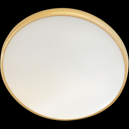 Накладные светильники — Накладной светильник Adilux 0996 купить в 