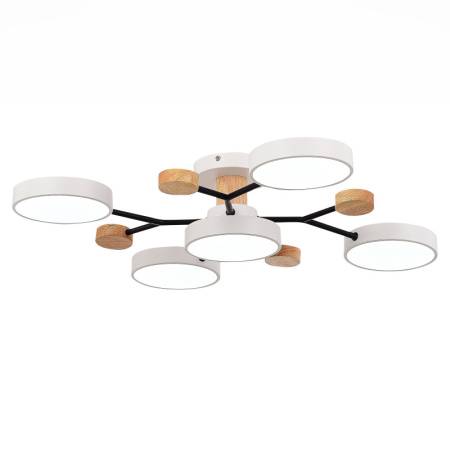 Люстры на штанге — Люстра на штанге Evoluce SLE6006-502-05 купить в 