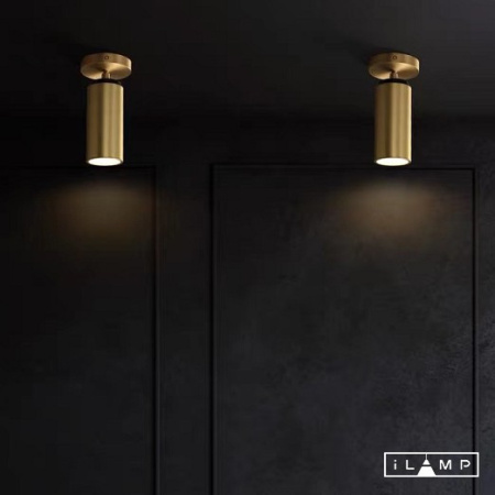 Споты — Спот iLamp 8861C BR-BK купить в  Споты — Спот iLamp 8861C BR-BK купить в