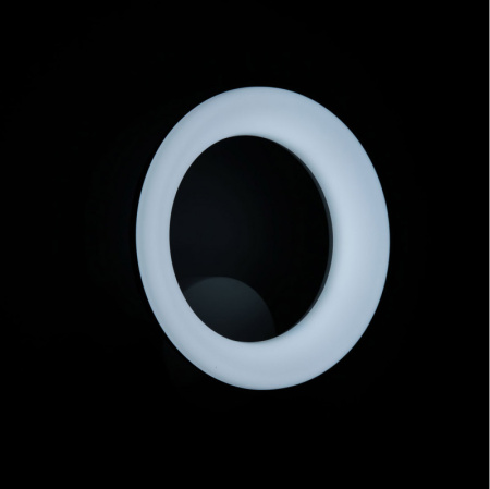 Настенные бра — Бра Citilux CL225B310 купить в 