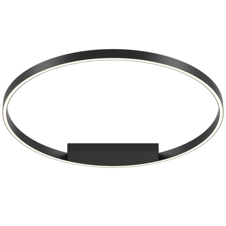 Накладные светильники — Накладной светильник Maytoni MOD058CL-L50BK купить в 