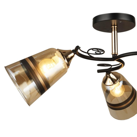 Потолочные люстры — Потолочная люстра Seven Fires Спинея 66372.01.69.03 купить в  Потолочные люстры — Потолочная люстра Seven Fires Спинея 66372.01.69.03 купить в