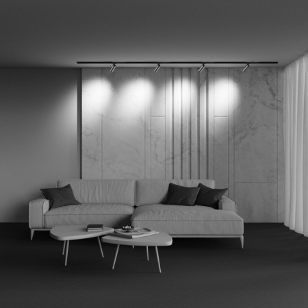 Трековые светильники — Светильник на шине Maytoni Technical TR021-1-12W4K-W-BBS купить в 