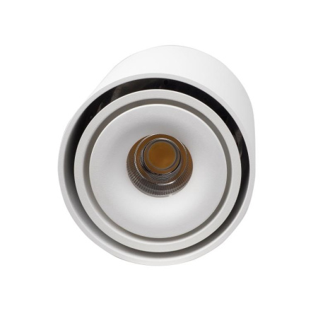 Накладные точечные светильники — Накладной светильник LeDron ORBIN TUB White купить в  Накладные точечные светильники — Накладной светильник LeDron ORBIN TUB White купить в