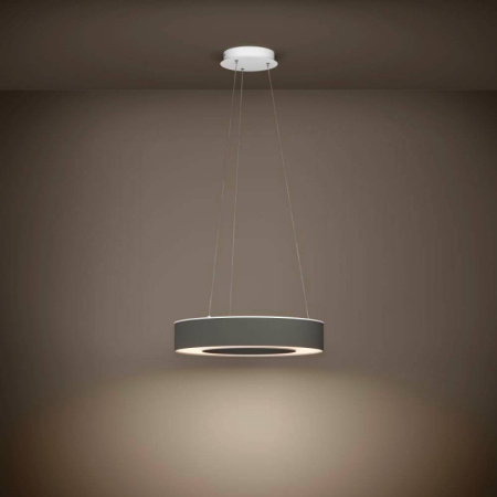 Подвесные светильники — Подвесной светильник EGLO 39994 купить в 