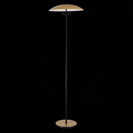 Торшеры и напольные светильники — Торшер ST-Luce SL6502.205.01 купить в 