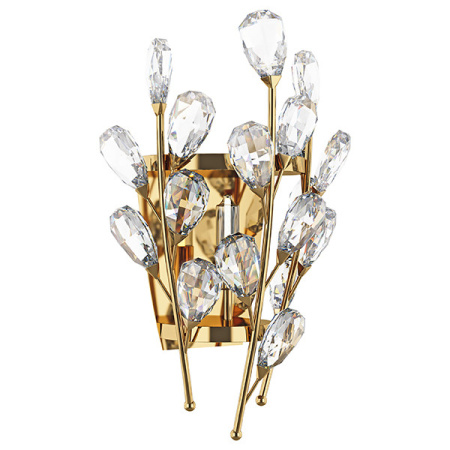 Настенные бра — Бра Lightstar 791612 купить в 