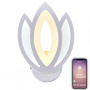 Настенные бра — Бра Natali Kovaltseva LED LAMPS 81124/1W купить в  Настенные бра — Бра Natali Kovaltseva LED LAMPS 81124/1W купить в