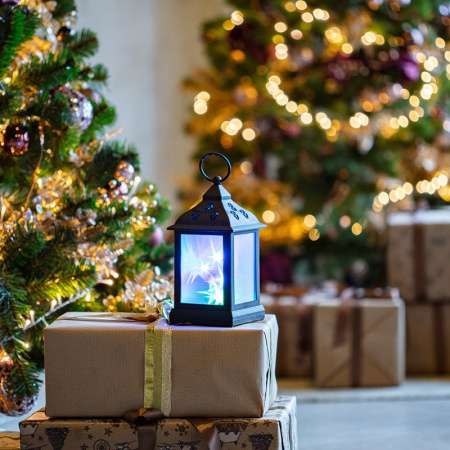 Декоративные светильники — Декоративный светильник Neon-Night 513-064 купить в 