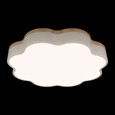 Накладные светильники — Накладной светильник LOFT IT 10225/36 White купить в 