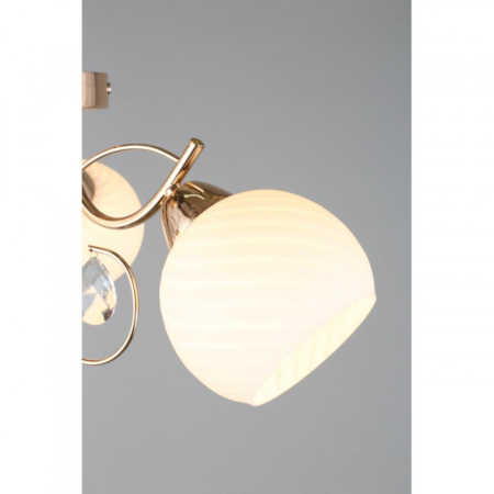 Люстры накладные — Накладная люстра Omnilux OML-25207-03 купить в 