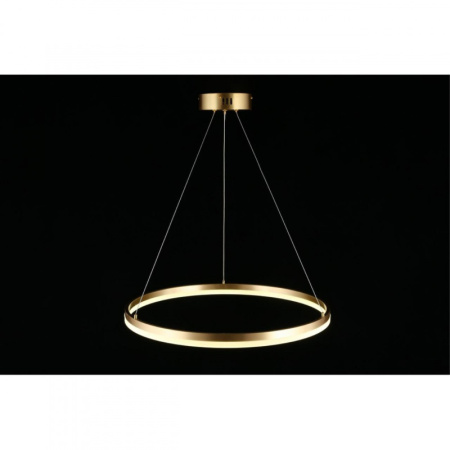 Подвесные светильники — Подвесной светильник APLOYT APL.049.13.40 купить в 