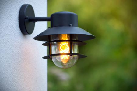 Уличные настенные светильники — Светильник настенный LUCIDE 11874/01/30 купить в 