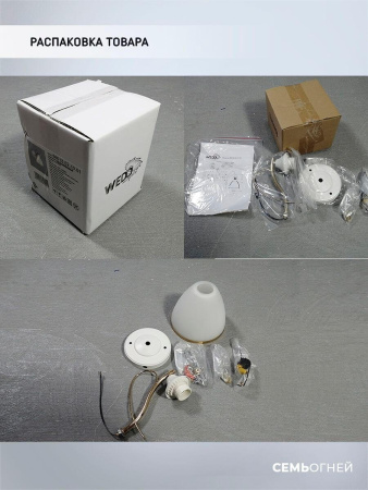 Потолочные светильники — Бра Seven Fires Dzintars WD3523/1W-WT-FGD-WT купить в 