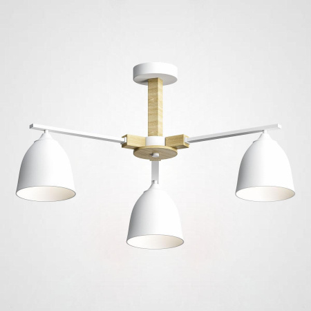 Потолочные люстры — Потолочная люстра Imperium Loft Noa 183465-26 купить в 