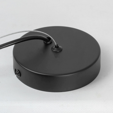 Подвесные светильники — Подвесной светильник Lussole LSP-8924 купить в 