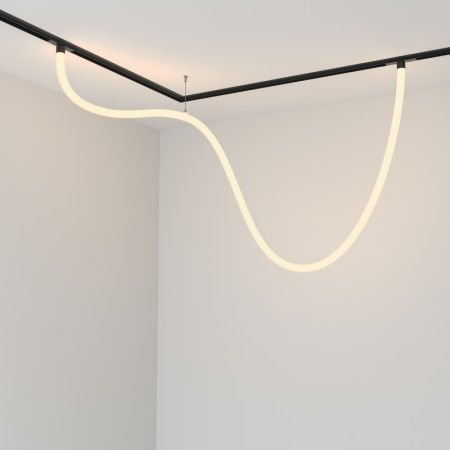 Трековые светильники — Светильник на шине Maytoni Technical TR101-2-50W3K-B купить в 