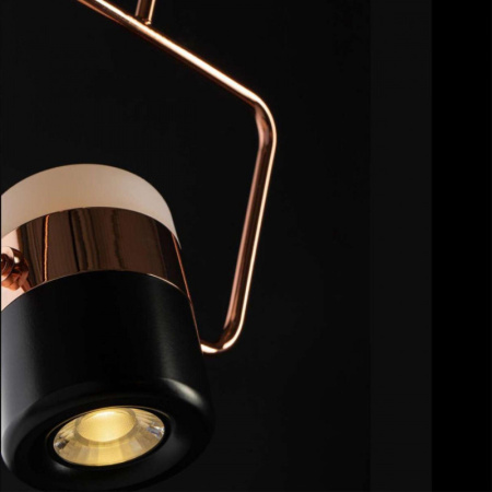 Подвесные светильники — Подвесной светильник LOFT IT 8118-B купить в 