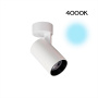 Споты — Спот Citilux CL01B070N купить в  Споты — Спот Citilux CL01B070N купить в