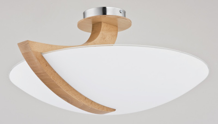 Накладные светильники — Накладной светильник Alfa 90058 купить в 