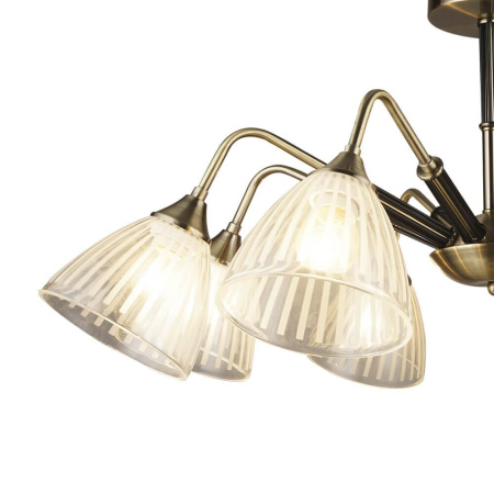 Потолочные люстры — Потолочная люстра Seven Fires Больсена 66231.01.37.08 купить в 