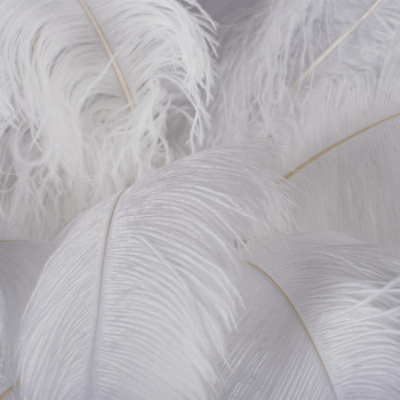 Торшеры и напольные светильники — Торшер LOFT IT 10067F/SG White купить в 