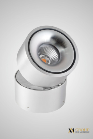 Накладные точечные светильники — Накладной светильник AM Group AM160 AL купить в 