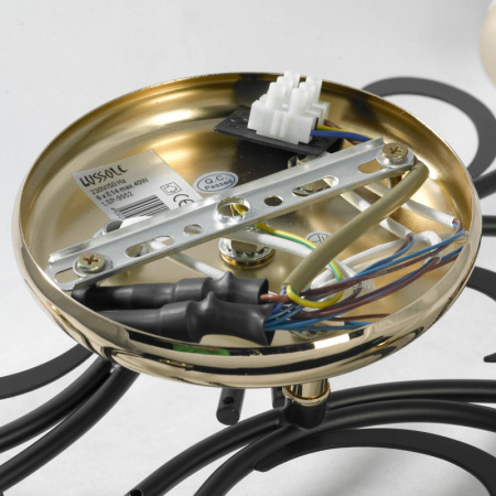 Люстры накладные — Накладная люстра Lussole LSP-9952 купить в  Люстры накладные — Накладная люстра Lussole LSP-9952 купить в