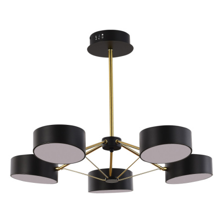 Люстры на штанге — Люстра на штанге Evoluce SLE6005-402-05 купить в  Люстры на штанге — Люстра на штанге Evoluce SLE6005-402-05 купить в